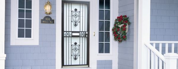 Steel Security Storm Doors Philadelphia Guida Door Window